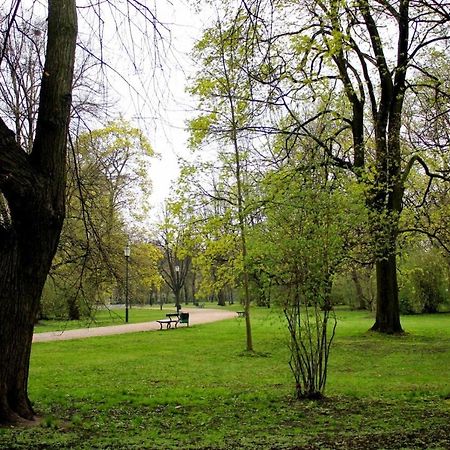 Standard Apartment On 6 Sierpnia Łódź Dış mekan fotoğraf